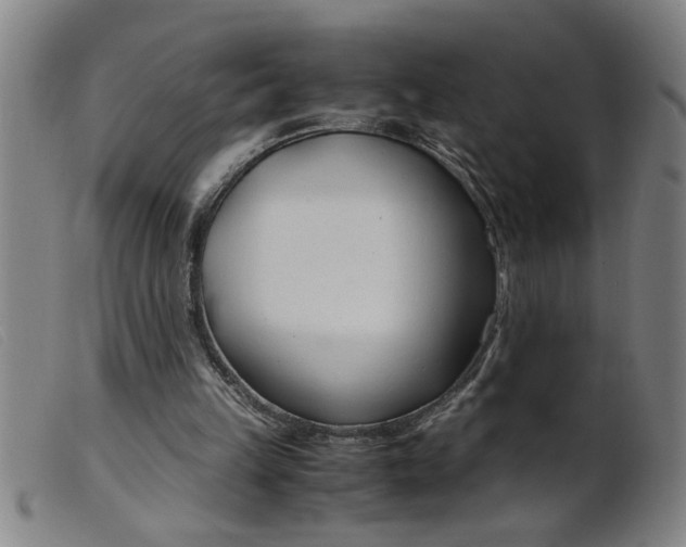 X0000099400149200805221904