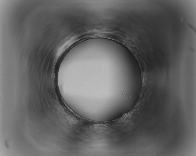 X0000099400150200805221904