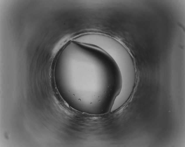 X0000099400151200805221904