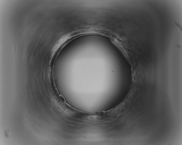 X0000099400152200805221904