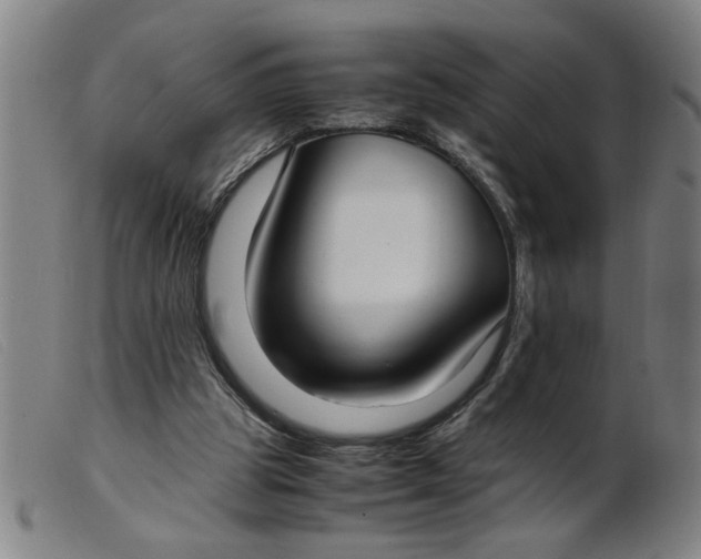 X0000099400153200805221904