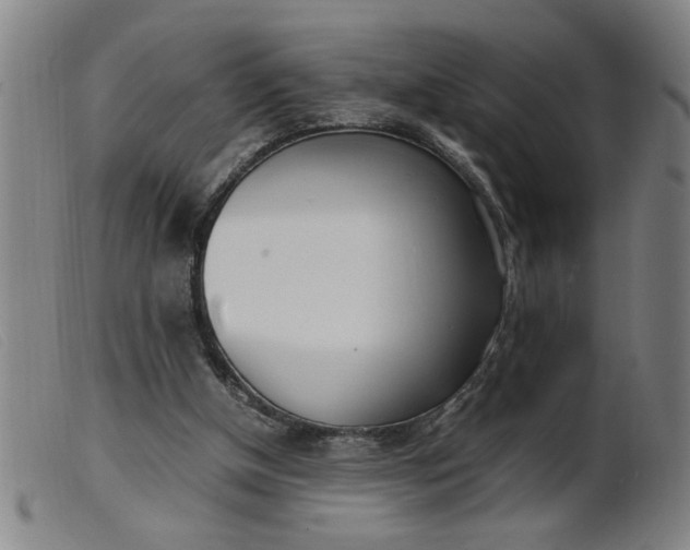 X0000099400154200805221904