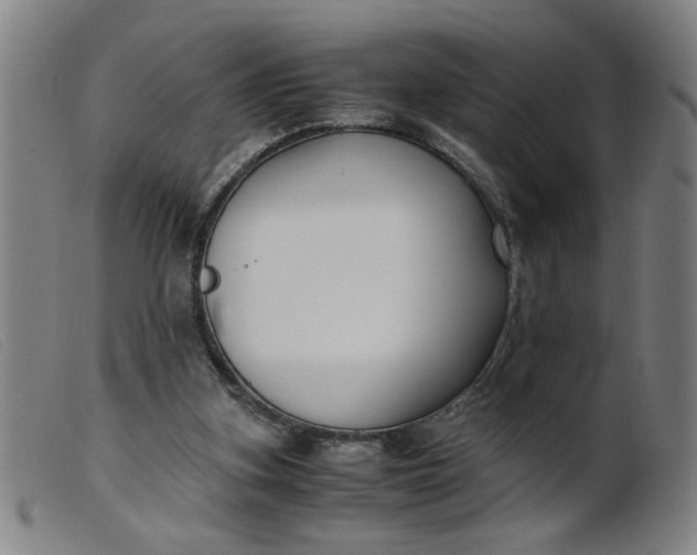 X0000099400155200805221904