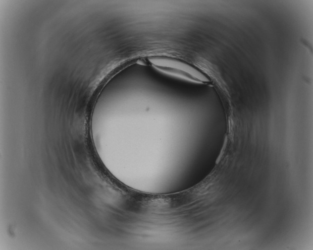 X0000099400156200805221904