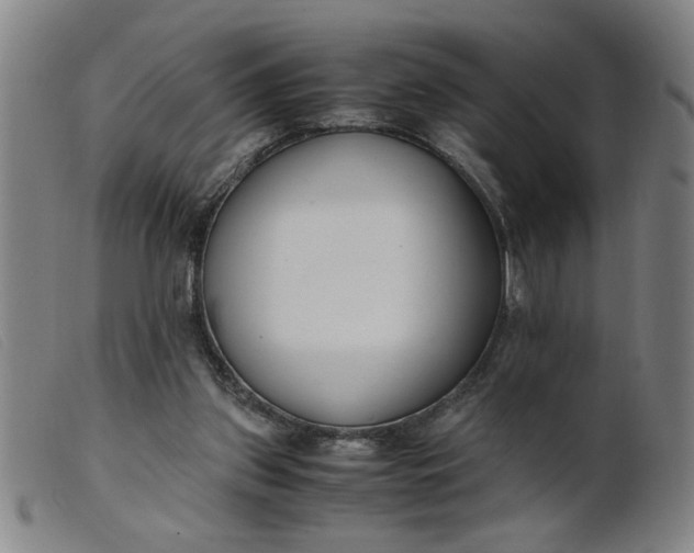 X0000099400157200805221904