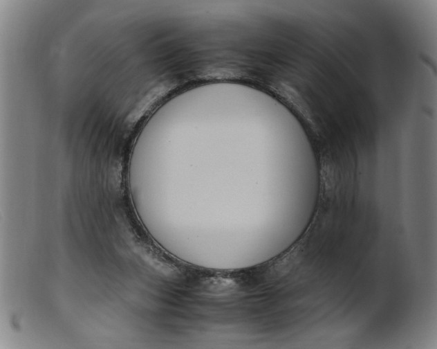 X0000099400159200805221904