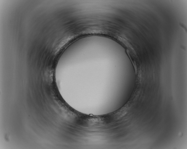 X0000099400160200805221904