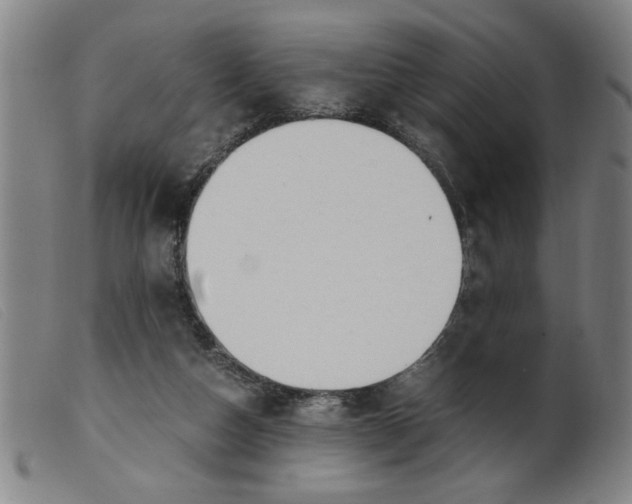 X0000099400162200805221904