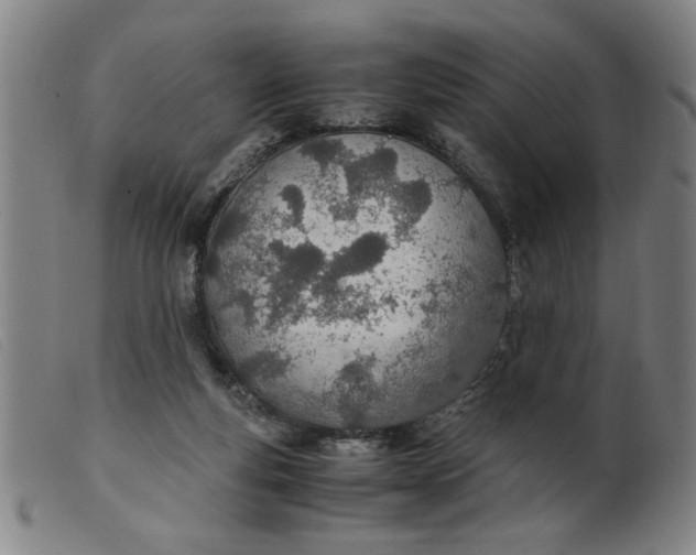 X0000099400163200805221904