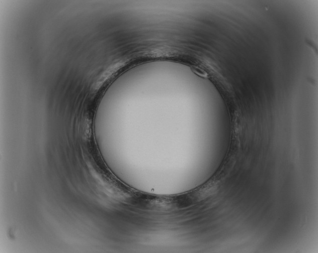 X0000099400164200805221904