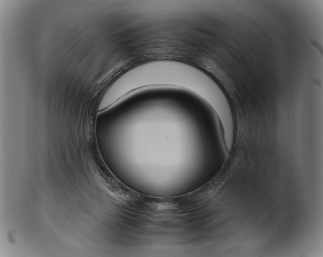 X0000099400165200805221904