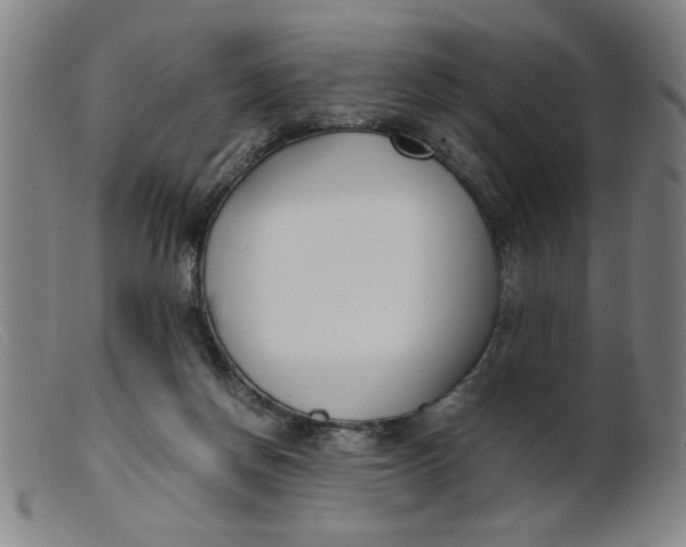 X0000099400166200805221904