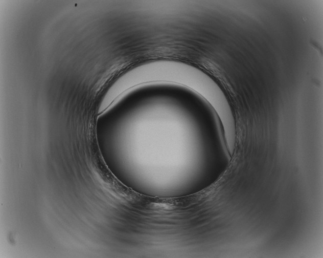 X0000099400167200805221904