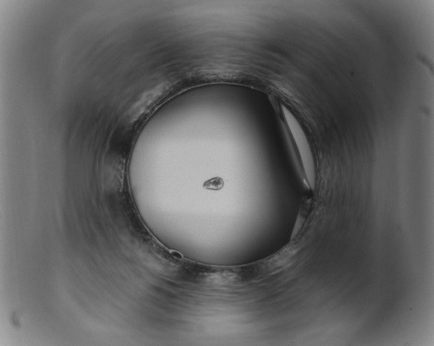 X0000099400168200805221904