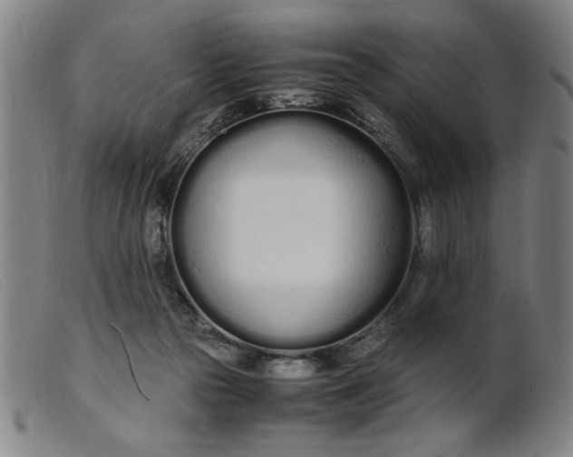 X0000099400169200805221904