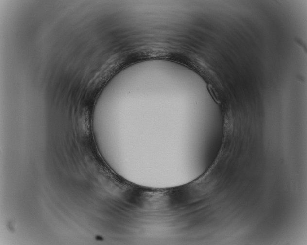 X0000099400170200805221904