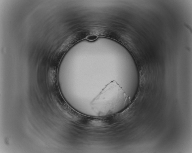 X0000099400171200805221904