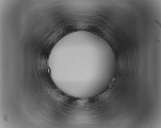 X0000099400172200805221904