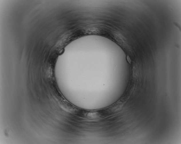 X0000099400173200805221904