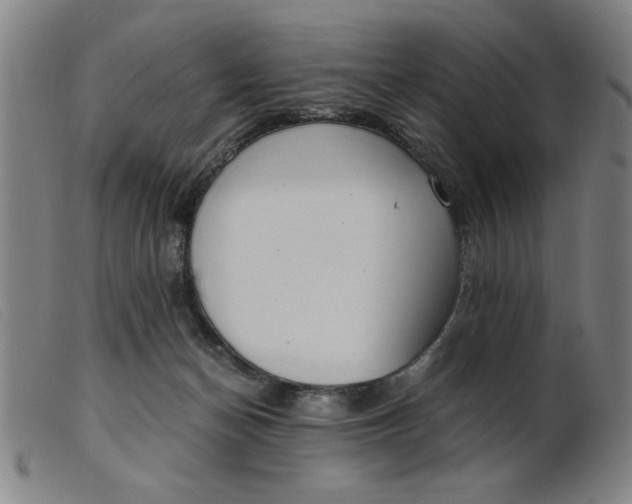 X0000099400174200805221904