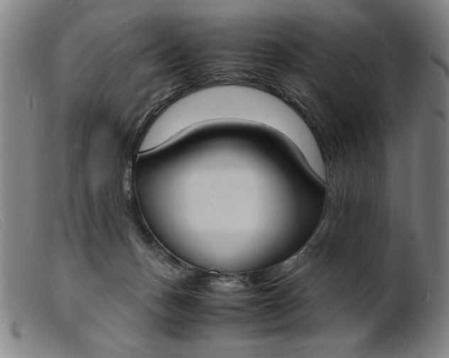 X0000099400175200805221904