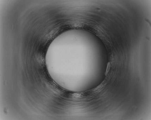 X0000099400176200805221904