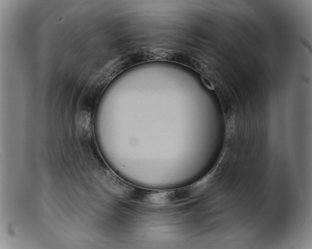 X0000099400178200805221904