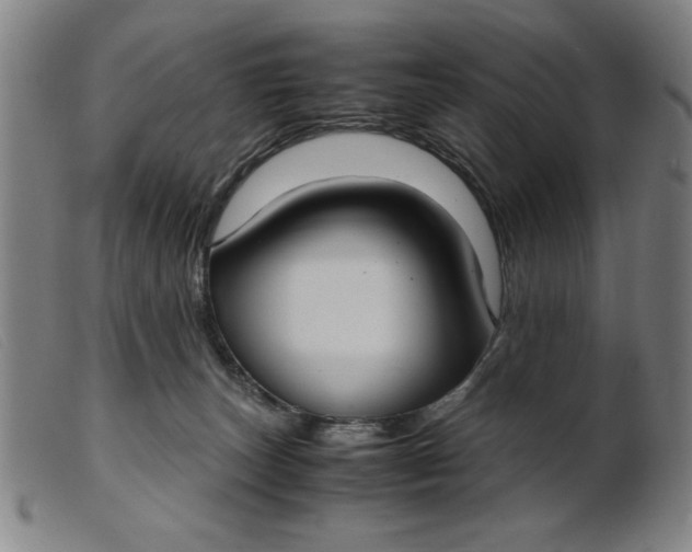 X0000099400179200805221904