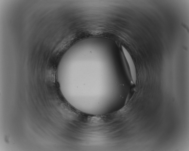 X0000099400180200805221904