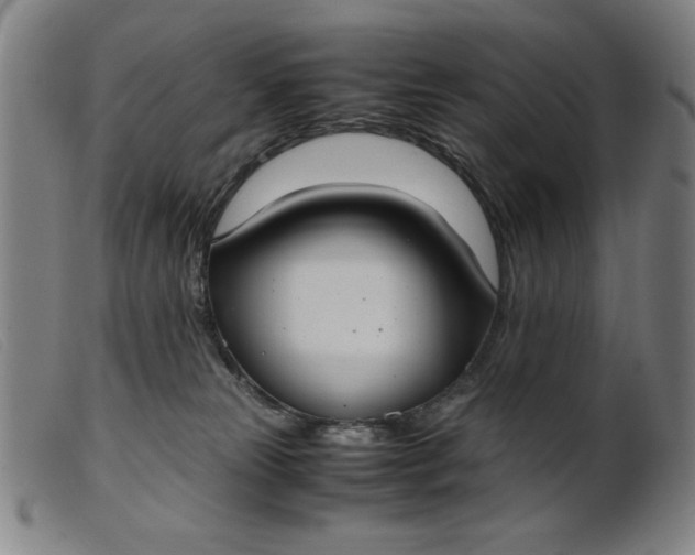 X0000099400181200805221904