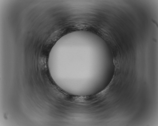 X0000099400182200805221904