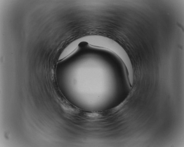 X0000099400183200805221904