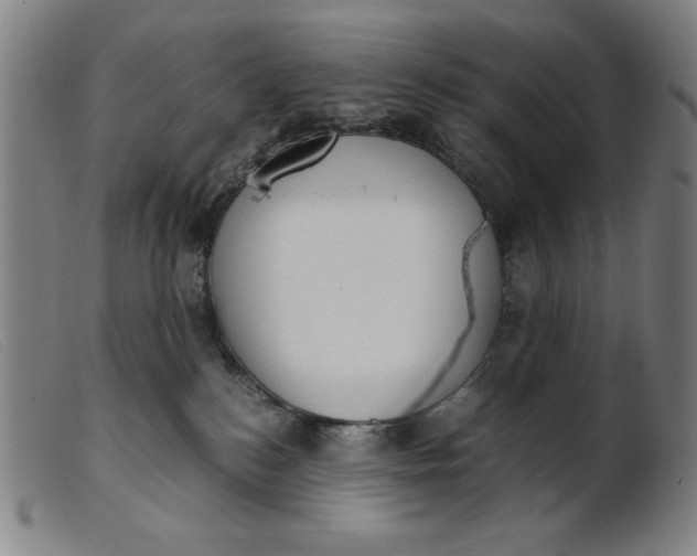 X0000099400184200805221904