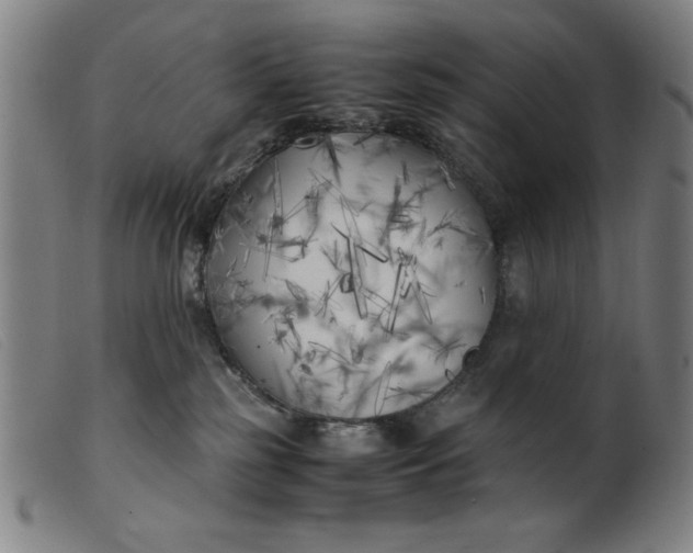 X0000099400185200805221904