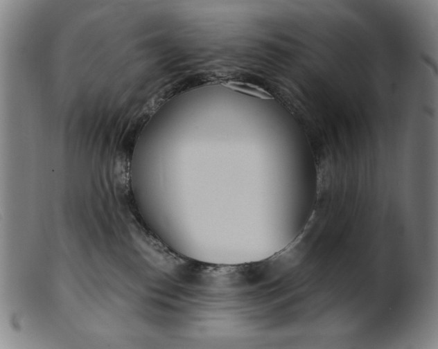 X0000099400186200805221904