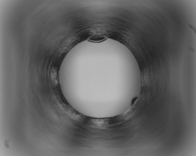 X0000099400187200805221904