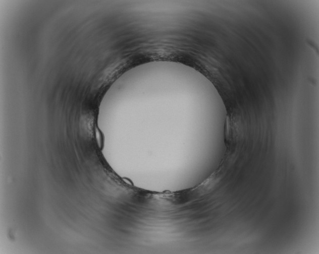 X0000099400188200805221904