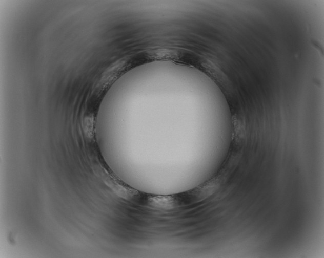 X0000099400189200805221904