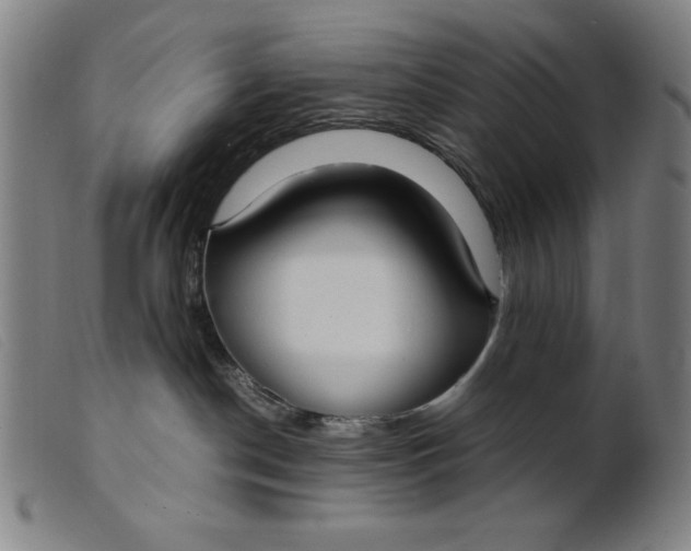 X0000099400190200805221904