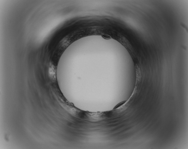 X0000099400191200805221904