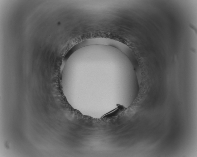 X0000099400192200805221904