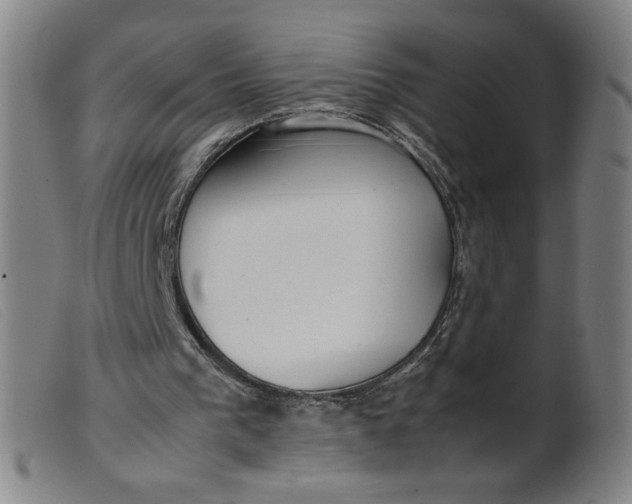 X0000099400193200805221904