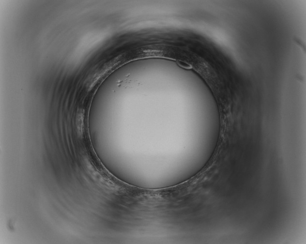 X0000099400194200805221904