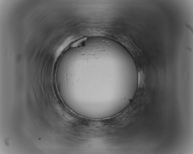 X0000099400195200805221904