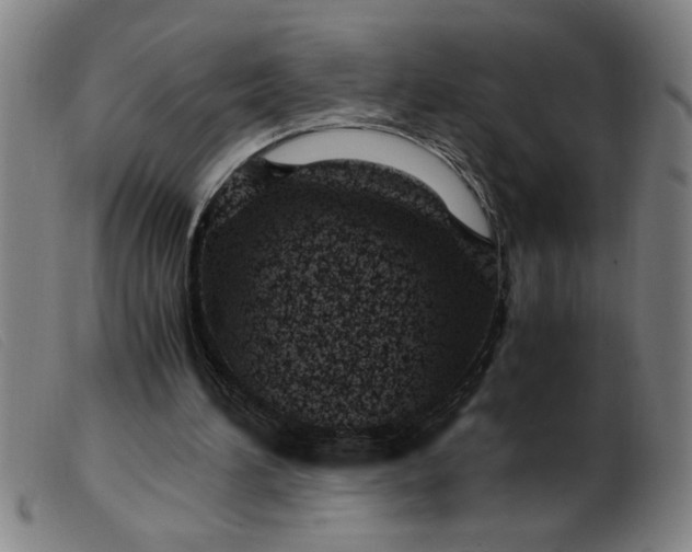 X0000099400196200805221903