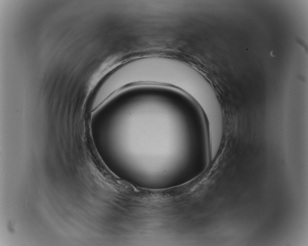 X0000099400198200805221903