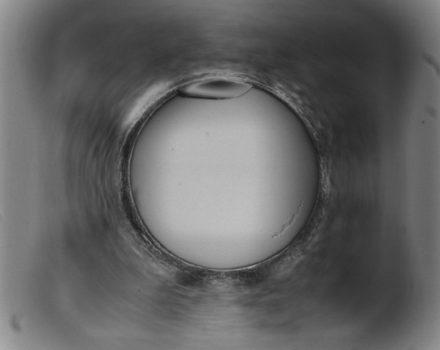 X0000099400199200805221903