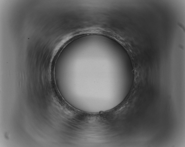 X0000099400200200805221903