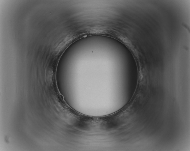 X0000099400201200805221903