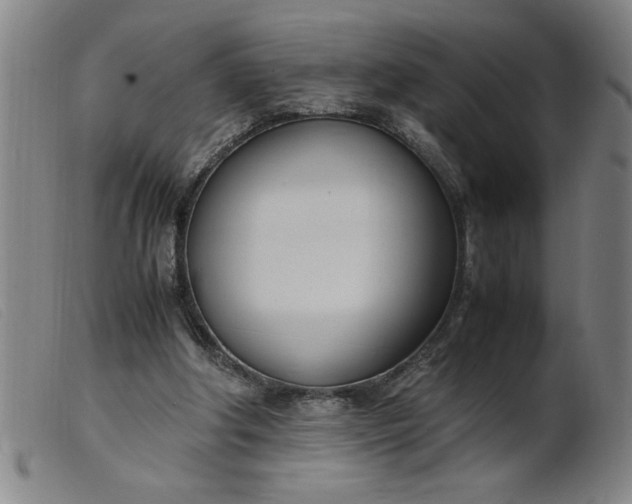 X0000099400202200805221903